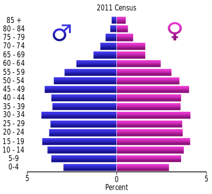 File:Mauritius population pyramid 2011.svg