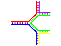 File:Branch-DNA-multiple.svg