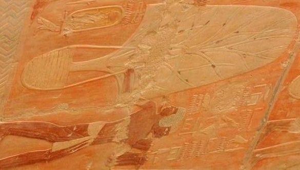 File:Trees to transplant from Punt to Egypt - Hatshepsut Mortuary Temple.JPG