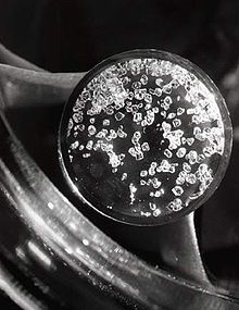 Muchos crystalls transparentes cúbicos en una placa de Petri.