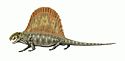 Dimetrodon milleri.jpg