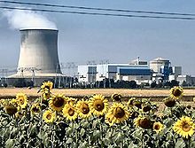 La fotografía ofrece los girasoles en el frente y una planta en la parte posterior. La planta cuenta con una amplia chimenea humeante con diámetro comparable a su altura.