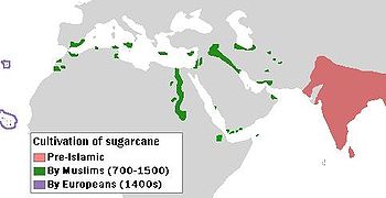 Mostrando la caña de azúcar de la India como el primer país de caña de azúcar del mapa, seguido de pequeñas zonas de África, y las áreas más pequeñas en Europa