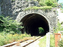 Túnel de piedra con las vías del ferrocarril que salen de él, rodeado de vegetación.