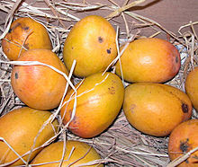 Foto de 10 grandes mangos