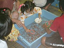 Vista desde arriba de los niños se reunieron alrededor de una bañera rectangular de color azul pálido lleno de muchos pequeños peces que nadan en el agua de naranja. Una niña en la parte superior de la escena se apoya sobre la bañera, con una bola de color rosa en la mano derecha y un recipiente blanco en la mano izquierda.