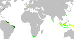 Un mapa del imperio colonial holandés. Luz verde: territorios administrados por u originarios de los territorios administrados por la Compañía de las Indias Orientales Holandesas; verde oscuro: los holandeses West India Company.