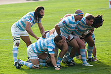 Mirando hacia la derecha un grupo de siete hombres, en azul y blanco jersesy aros, se unen entre sí y agacharse para formar un scrum, el octavo jugador está detrás de ellos la observación de la oposición fuera de la imagen.