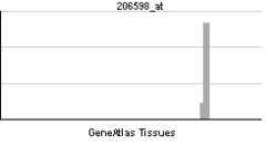 PBB GE INS 206.598 en tn.png