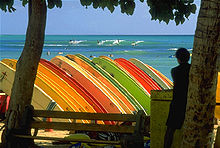 Foto de docenas de tablas de surf en rack. Cada placa es perpendicular al suelo y paralelo a las otras placas. Mar de fondo.