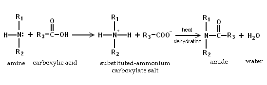 Reacción de la amina con ácidos carboxílicos