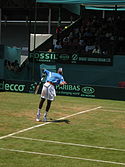 Davis cup.jpg