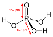 -Ácido fosfórico-2D-dimensions.png