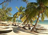 Plage de sable blanc bord??e de palmiers le long d'une mer turquoise