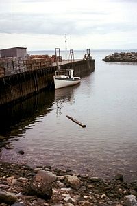 Baie de Fundy High Tide.jpg