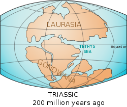 Laurasie-Gondwana.svg