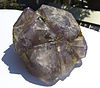 Fluorite avec Iron Pyrite.jpg