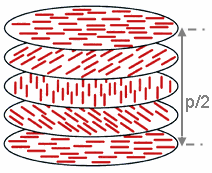 Chiral Nematic phase