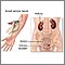 Kidney function tests