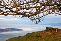 Seebodenalp-foggy_Zuger_See.JPG