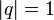 \left| q\right| = 1