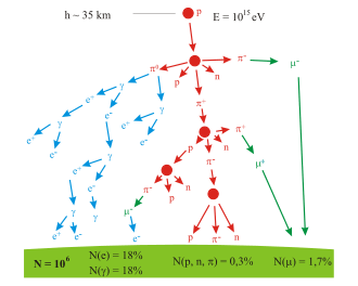 Un arbre logique représentant la production de particules.