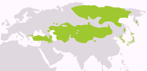 Répartition globale des langues altaïques.
