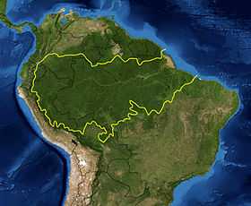 Carte géographique des écorégions de la forêt amazonienne délimitées par le WWF. Les lignes en jaune délimitent les contours de la forêt amazonienne. Les frontières nationales sont indiquées en noir (Image satellite de la NASA)