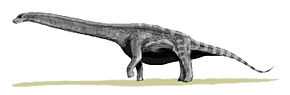 Description de l'image Argentinosaurus BW.jpg.