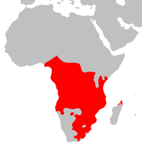 Aire de répartition des langues bantoues.