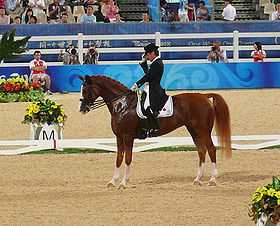 Sur une carrière de dressage, un cavalier en redingote et son cheval alezan son arrêtés et présentent leur profil gauche ; le cavalier tire son chapeau ; le cheval a l'encolure trempée d'écume.