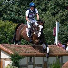 Un cavalier portant un gilet de cross et une casaque franchit avec son cheval bai une maisonnette dont le toit est recouverte d'herbe.