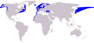 Description de l'image Cetacea_range_map_Harbour_Porpoise.PNG.