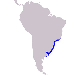 Description de l'image Cetacea range map La Plata River Dolphin.PNG.