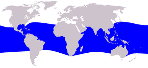 Description de l'image Cetacea_range_map_Melon-headed_Whale.PNG.