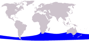 Description de l'image Cetacea range map Pygmy Right Whale.png.