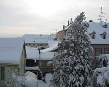 Toits de maisons et sapin recouverts d'une neige épaisse.