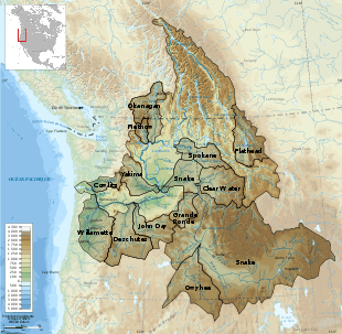 Carte montrant la répartition du bassin du Columbia en bassins versants de ses affluents.