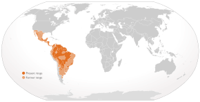 Description de l'image Cypron-Range Panthera onca.svg.