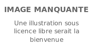 Image illustrative de l'article Course d'orientation