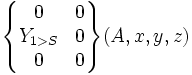 \begin{Bmatrix} 0 & 0 \\ Y_{1>S} & 0 \\ 0 & 0 \end{Bmatrix}(A,x,y,z)