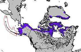 Répartition des langues eskimos (en violet) et de l'aléoute (en rouge).