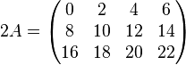 2A=\begin{pmatrix}
0 &2 & 4 & 6\\
8 & 10 & 12 & 14\\
16 & 18 & 20 & 22\\
\end{pmatrix}
