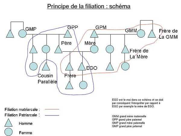 Principe de la filiation : schéma