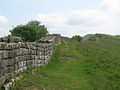 Hadrian's Wall east of Milecastle 42 - geograph.org.uk - 846864.jpg