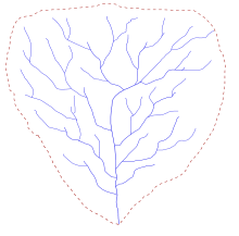 Schéma d'une structure arborescence