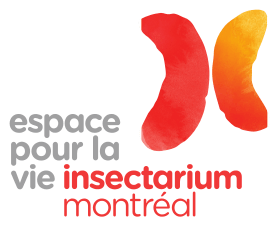 Image illustrative de l'article Insectarium de Montréal