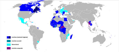 Carte de l'organisation