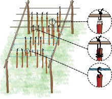 Schéma représentant le séchoir : deux barres parallèles reposent chacune, par leur extrémités, sur la fourche de piquets enfoncés dans le sol ; perpendiculairement à ces barres sont placées d’autres, bien espacées, formant les traverses de suspension pour les lanières de viandes qui sèchent sans se toucher. Sur la droite du schéma, des loupes mettent en évidence les différents modes d’accrochage des lanières.