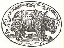 Dans l'emblème, le rhinocéros de Dürer est surmonté d'une légende « Non buelvo sin vencer », « Je ne reviendrai pas sans victoire ».